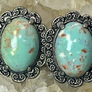 Vintage Robins Egg Silver Tone Screw Back Earrings Green Blue With Speckles